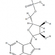 Structure-of-Polyadenosinic-acid-potassium-salt-CAS-26763-19-9-295x400
