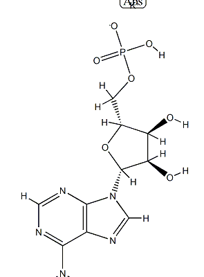 Structure-of-Polyadenosinic-acid-potassium-salt-CAS-26763-19-9-295x400