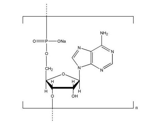 Structure-of-Polyadenosinic-acid-sodium-salt-CAS-NNA-0009
