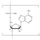 Structure-of-Polyadenosinic-acid-sodium-salt-CAS-NNA-0009