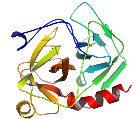 Structure of Chymotrypsin EC 3.4.21.1 CAS 9004-07-3