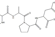 Structure of Recombinant Carboxypeptidase B EC 3.4.17.2 CAS 9025-24-5