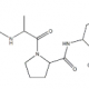 Structure of Recombinant Carboxypeptidase B EC 3.4.17.2 CAS 9025-24-5