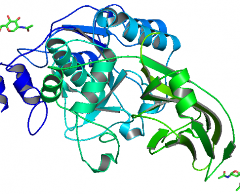 Structure of Recombinant Kex2 Protease EC 3.4.21.61 CAS UENA-0188