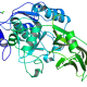 Structure of Recombinant Kex2 Protease EC 3.4.21.61 CAS UENA-0188