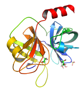 Structure of Recombinant Lysyl Endonuclease EC 3.4.21.50 CAS UENA-0189