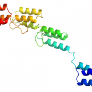 Structure of Recombinant Protein A CAS 91932-65-9