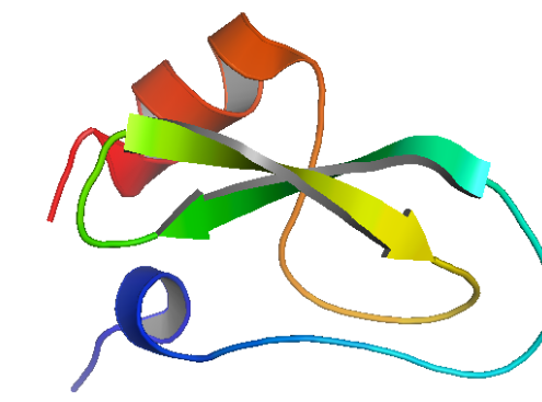 Structure of Recombinant Soybean Trypsin Inhibitor CAS 9035-81-8