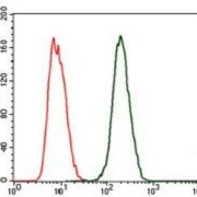 Anti-C-Reactive-Protein-CRP-Antibody-in-flow
