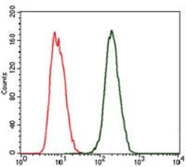Anti-C-Reactive-Protein-CRP-Antibody-in-flow
