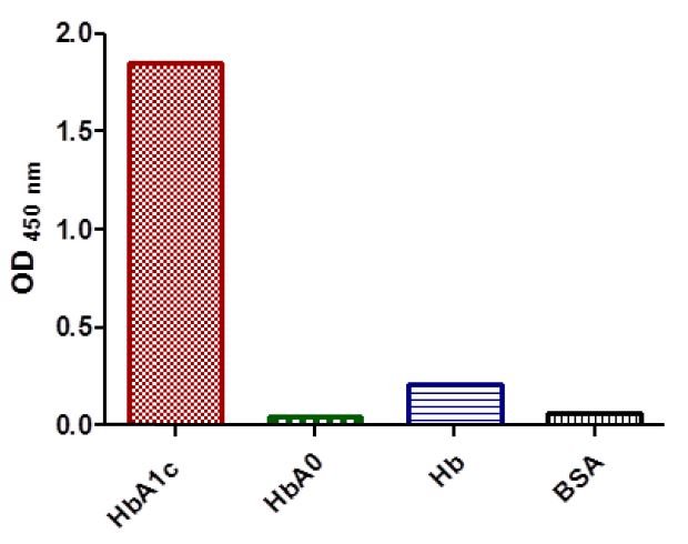 Anti-HbA1c-Hemoglobin-CAS-9008-02-0-A1c-antibody-in-ELISA2