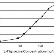 Thyroxine-T4-Antibody-in-ELISA