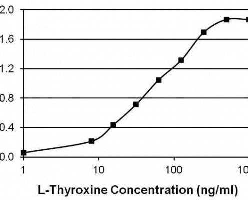 Thyroxine-T4-Antibody-in-ELISA