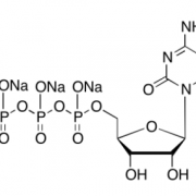 Structure of 5-Methylcytidine 5'-Triphosphate (CPT) Trisodium Salt CAS 327174-86-7