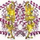 Structure of Pyrophosphatase Inorganic CAS 9024-82-2