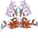 Structure of RNase III CAS UENA-0194