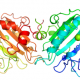 Structure of UltraNuclease CAS 9025-65-4