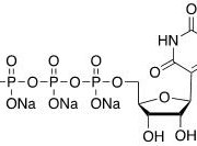 Structure of Uridine-5'-triphosphate Sodium Salt CAS 1175-34-4