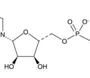Structure of alpha,beta-methylene Adenosine 5'-triphosphate (sodium salt) CAS 1343364-54-4
