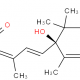 Structure of (+)-Abscisic acid CAS 21293-29-8
