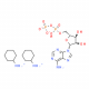 Structure of Adenosine 5'-diphosphate bis(cyclohexylammonium ) salt CAS 102029-87-8