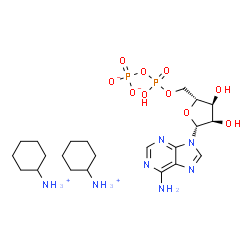 Structure of Adenosine 5'-diphosphate bis(cyclohexylammonium ) salt CAS 102029-87-8