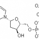 Structure of 2'-Deoxycytidine-5'-triphosphate trisodium salt CAS 109909-44-6