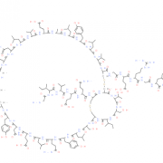 Structure of rh Insulin CAS 11061-68-0
