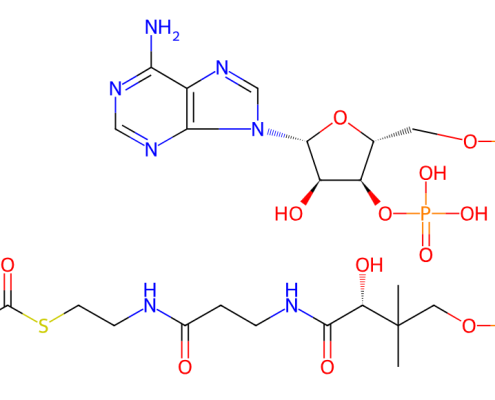 Structure of Coenzyme A, s-(2-hydroxypropanoate) CAS 1926-57-4