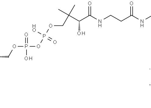 Structure of Coenzyme A. 5-(2-hydroxy-2-methy Ipropanoate) CAS 1383119-39-8