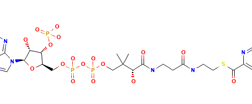 Structure of Coenzyme A,s-2-pyridinecarboxylate CAS 404355-22-2