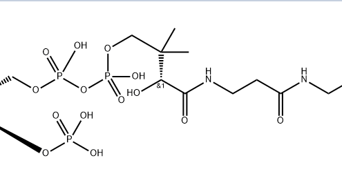 Struture of Coenzyme A,s-3-pyridinecarboxylate CAS 946073-83-2